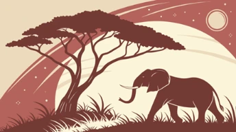 World Safari Journey